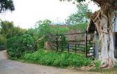 Туры в отель Pai Vintage Garden Resort
