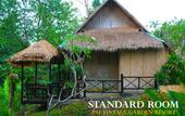 Туры в отель Pai Vintage Garden Resort