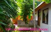 Туры в отель Pai Vintage Garden Resort