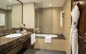Туры в отель Jumeirah Rotana