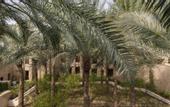 Туры в отель Bab Al Shams Desert Resort & Spa