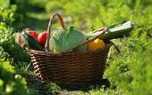 Туры в отель Nature Bio Hotel Elite