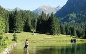 Туры в отель Nature Bio Hotel Elite