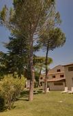 Туры в отель Villa I Barronci Resort & Spa