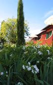 Туры в отель Wellness Center Casanova Hotel e SPA