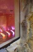 Туры в отель Wellness Center Casanova Hotel e SPA