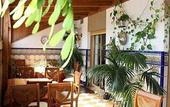 Туры в отель Hotel Avenida Tropical