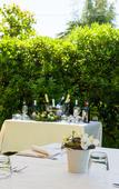 Туры в отель Hotel Ristorante Al Fiore