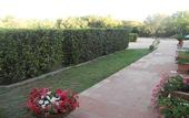 Туры в отель Hotel Mare Blue