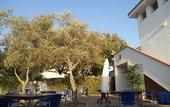 Туры в отель Hotel Mare Blue