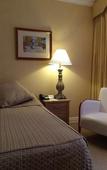 Туры в отель European Hotel