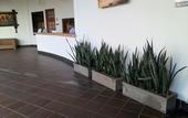 Туры в отель Sanha Plus Hotel