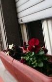Туры в отель PrendiTempo