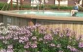 Туры в отель Hotel Eden