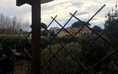 Туры в отель La Maison dei Miracoli