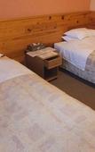 Туры в отель Turtle Inn Nikko
