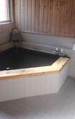 Туры в отель Turtle Inn Nikko