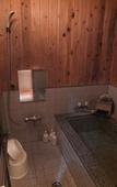 Туры в отель Turtle Inn Nikko