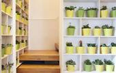 Туры в отель Habitat Boutique Hotel