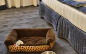 Туры в отель Best Western Plus BorgoLecco Hotel