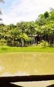 Туры в отель Huan Chiang Dao Resort
