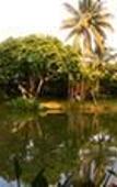 Туры в отель Huan Chiang Dao Resort