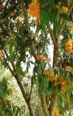 Туры в отель Huan Chiang Dao Resort
