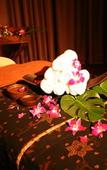 Туры в отель Hotel and Spa Lotus Modern – Adults Only