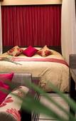 Туры в отель Hotel and Spa Lotus Modern – Adults Only