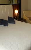 Туры в отель Central Park Tower Resort