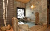Туры в отель Dormy Inn Higashimuroran Natural Hot Spring