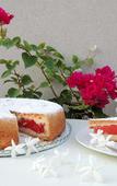 Туры в отель TerraSole Bakery B&B