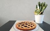 Туры в отель TerraSole Bakery B&B