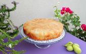 Туры в отель TerraSole Bakery B&B
