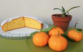 Туры в отель TerraSole Bakery B&B