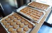 Туры в отель TerraSole Bakery B&B
