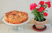 Туры в отель TerraSole Bakery B&B
