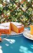 Туры в отель TerraSole Bakery B&B