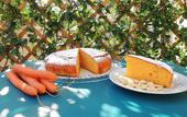 Туры в отель TerraSole Bakery B&B