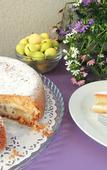 Туры в отель TerraSole Bakery B&B