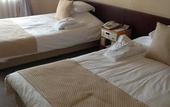 Туры в отель Okayama Plaza Hotel