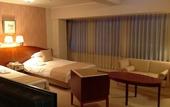 Туры в отель Okayama Plaza Hotel