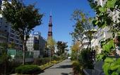 Туры в отель Hotel Wbf Sapporochuo