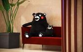 Туры в отель Mitsui Garden Hotel Kumamoto