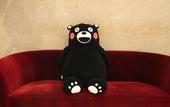 Туры в отель Mitsui Garden Hotel Kumamoto