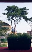 Туры в отель Incheon Airport Happy Place Guesthouse