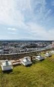 Туры в отель Saint Beach Hotel