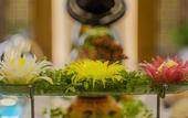Туры в отель Muong Thanh Luxury Nhat Le Hotel