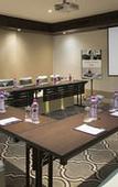 Туры в отель Mercure Hyderabad KCP Hotel