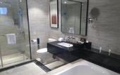 Туры в отель Hilton Garden Inn Wuhan Hankou